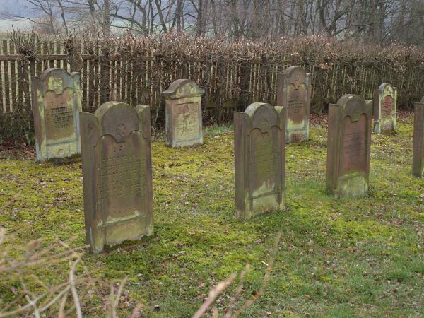 Grabsteine auf einer Wiese